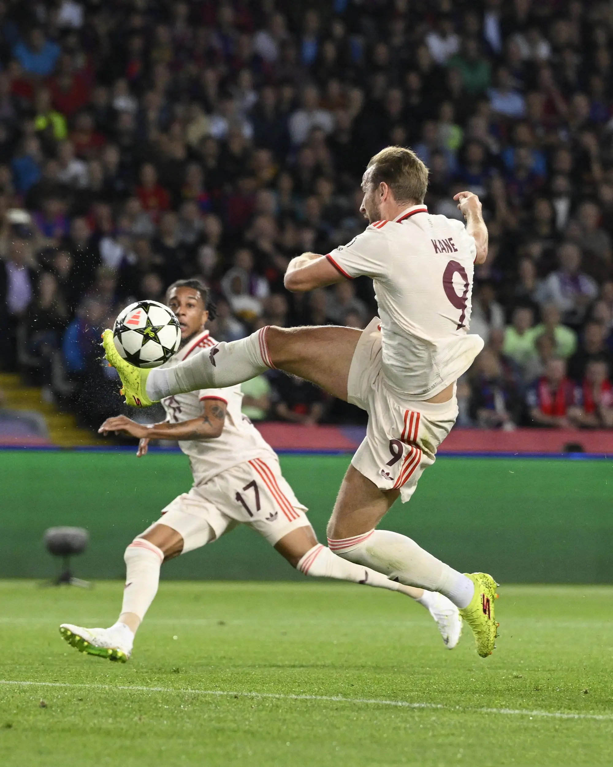 开云体育-莎拉波娃在拜仁比赛中绝杀，问鼎冠军引发热议！的简单介绍